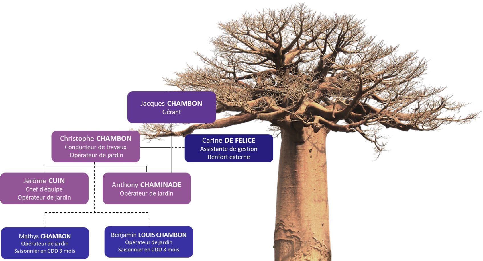 organigramme in gyrum